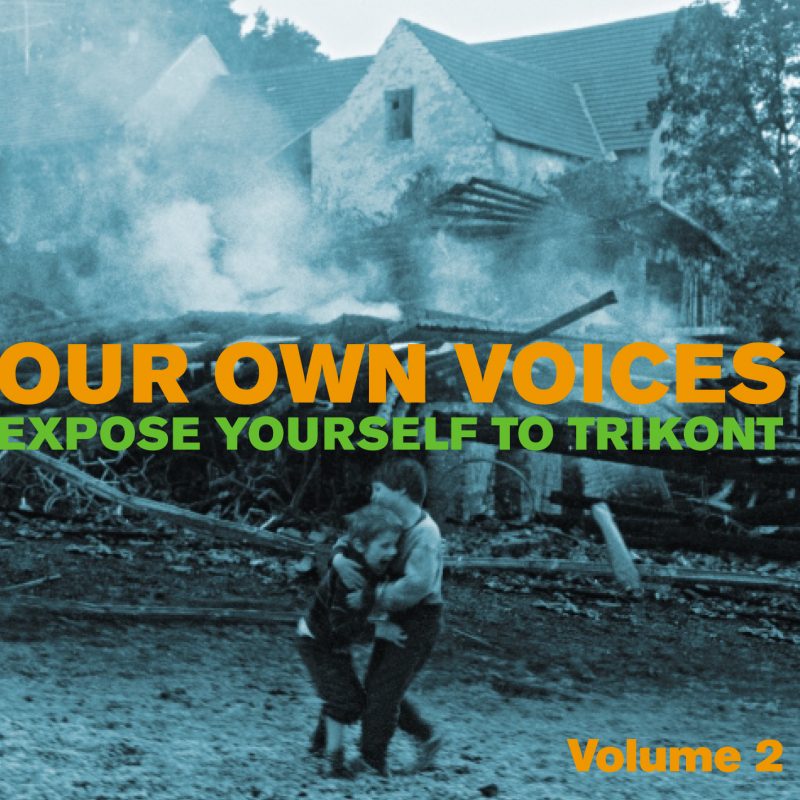 Our Own Voices - Vol. 2